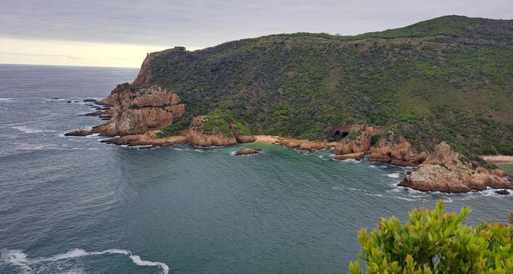 5 jours - Le meilleur de l'Afrique du Sud : Route des jardins et parc national d'Addo - Hotspots2c 6