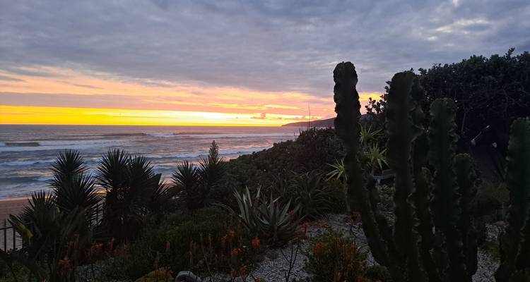 5 jours - Le meilleur de l'Afrique du Sud : Route des jardins et parc national d'Addo - Hotspots2c 8