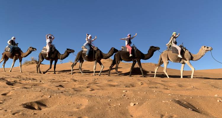 Group on camels in the desert.