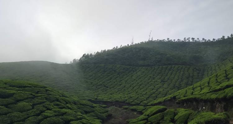 Le pays de Dieu, le Kerala - Bout India 1