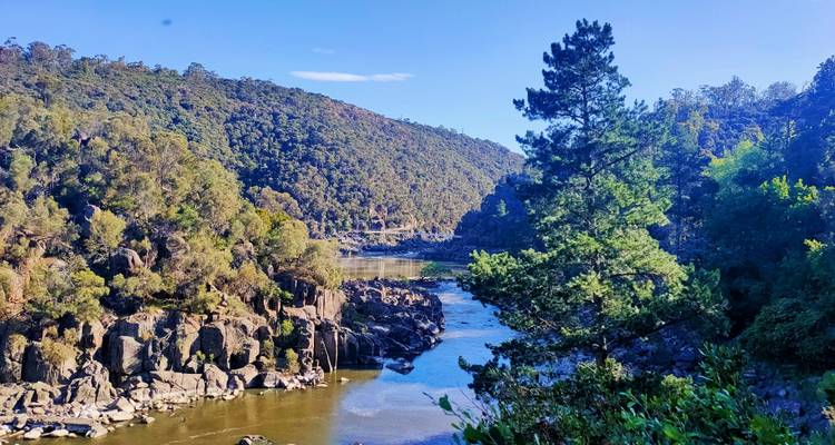 Río pintoresco con orillas rocosas rodeado de bosque.