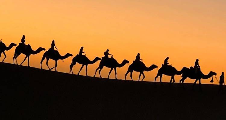 Camel caravan silhouetted against an orange sunset.