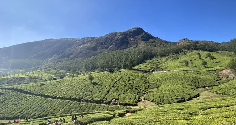 Le pays de Dieu, le Kerala - Bout India 3