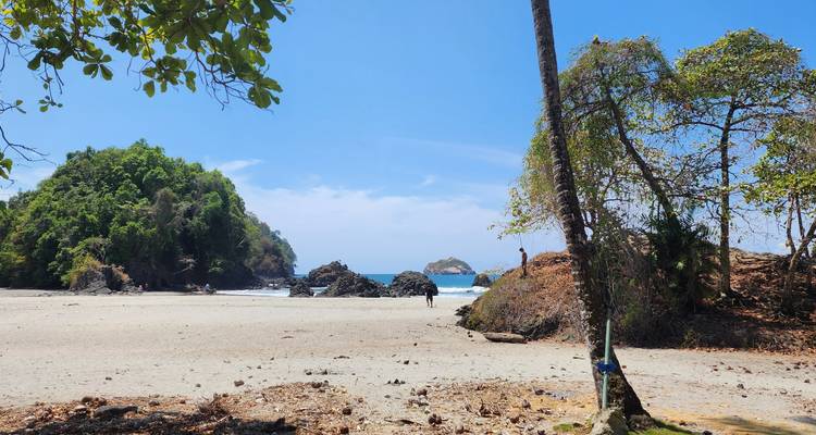 L'essence du Costa Rica - Forfait voyage avec le parc national Manuel Antonio - Destination Services Costa Rica 8