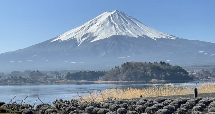 Le mont Fuji enneigé avec un lac et de la végétation au premier plan.
