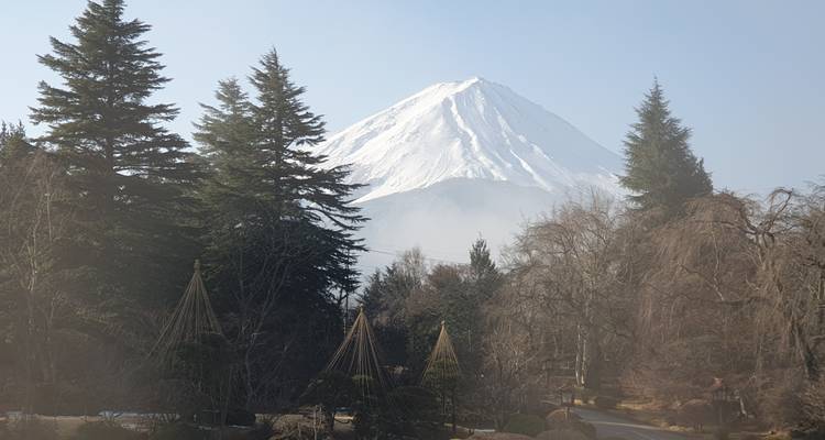 Le mont Fuji avec des arbres et de la brume au premier plan.