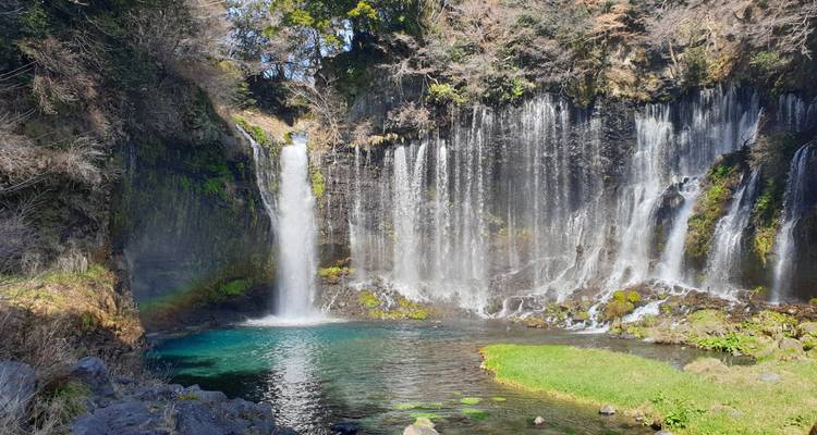 Belle cascade entourée de verdure.
