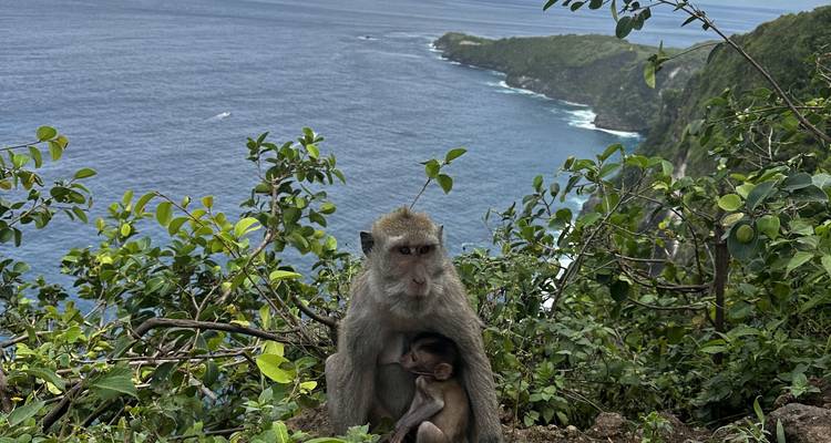 Bali Bucket List - Boutique 10 jours - Bali Bucket List Tours 1