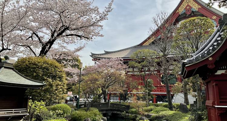 Simplement le Japon - Explore! 6