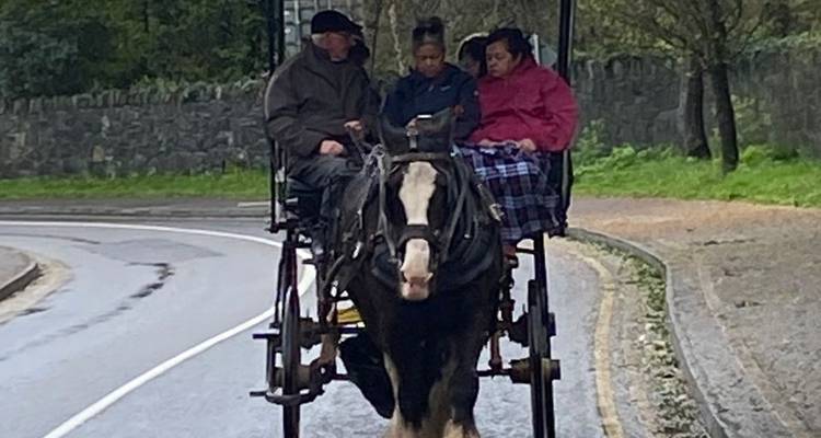 tours of scotland and ireland from canada