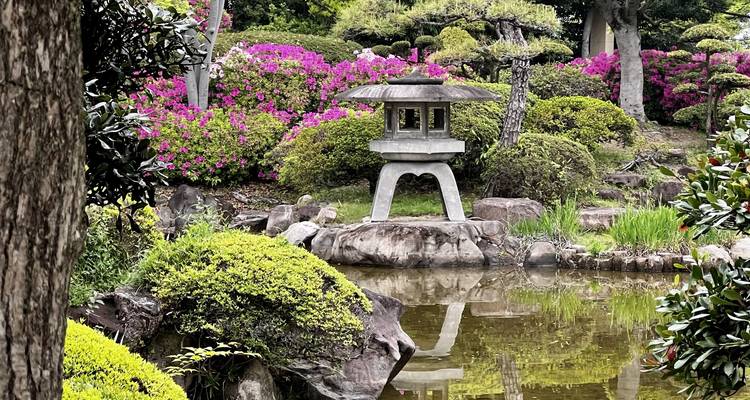Un Japon époustouflant avec Shirakawa-go (chambres d'hôtel privées 3 étoiles) - Stunning Tours 6