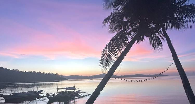 Plage tropicale au coucher du soleil avec des bateaux et un palmier.