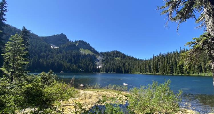 Pacifique Nord- Ouest : Observation des baleines, restauration écologique et Trek dans les Cascade Mountains de Washington - GIVE Volunteers 1