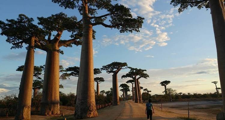 Safari au Baobab - Travelia Safari 8