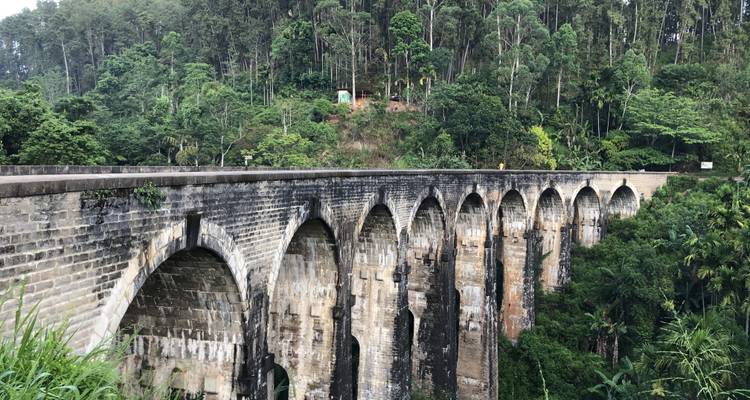 Vue pittoresque d'un pont historique en pierre entouré de verdure.