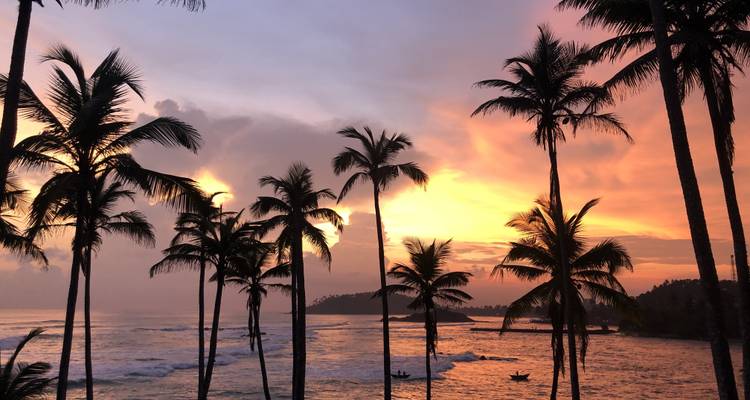 Palmiers en silhouette sur un coucher de soleil éclatant au-dessus de l'océan.