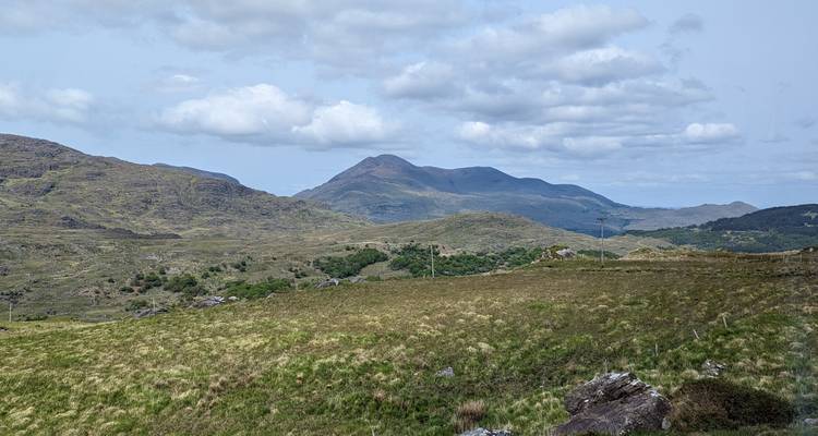 Wide landscape view with mountains in the background.