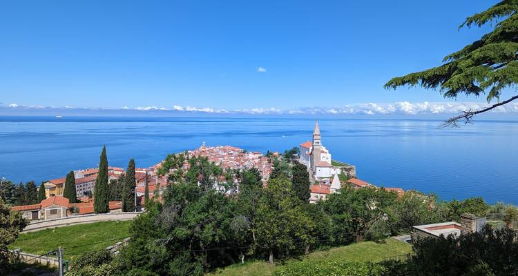 Stunning Slovenia - PALMA DMC & TO  2