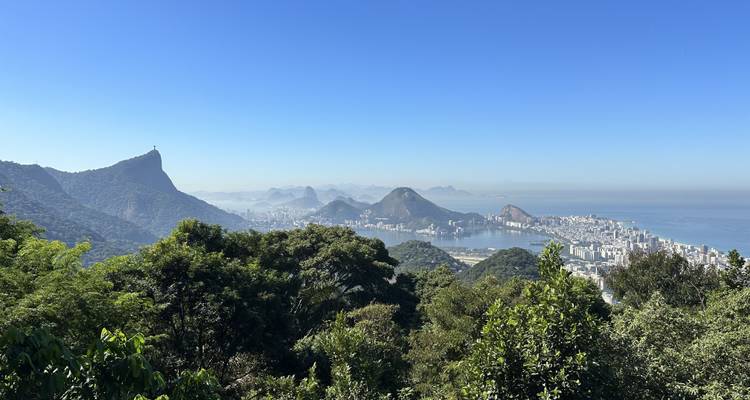 The BEST Rio de Janeiro Jungle tours 2023 - FREE Cancellation