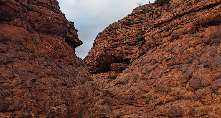 alice springs uluru camping tours