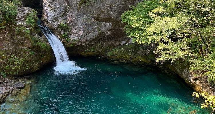 Clear blue water pool surrounded by rocks and trees.