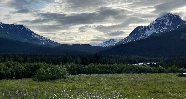 Journeys: Discover Alaska National Geographic Journeys by National 