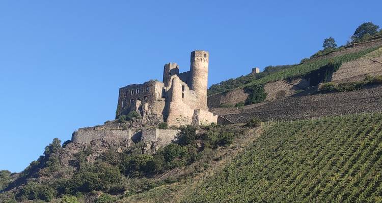 Ruines de château sur une colline avec des coteaux de vignobles.