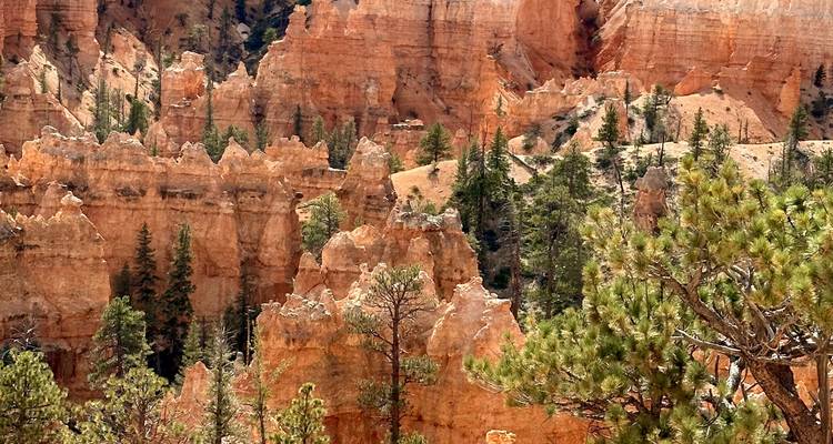 Circuit de 7 jours dans les parcs nationaux du sud- ouest et le Grand Canyon - Bindlestiff Tours 1