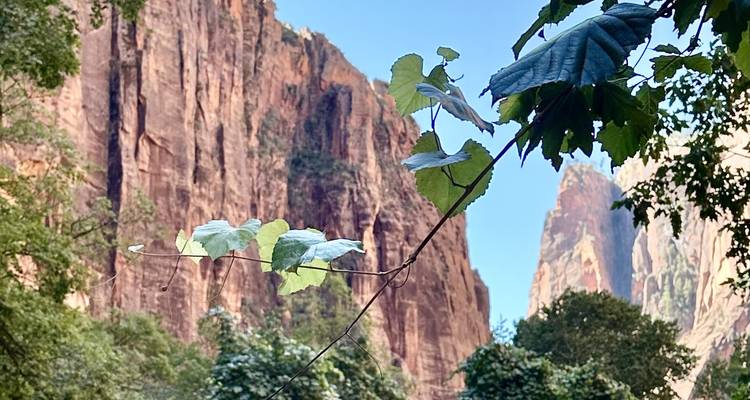 Circuit de 7 jours dans les parcs nationaux du sud- ouest et le Grand Canyon - Bindlestiff Tours 8