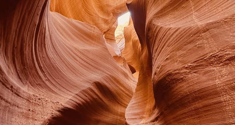 Circuit de 7 jours dans les parcs nationaux du sud- ouest et le Grand Canyon - Bindlestiff Tours 10