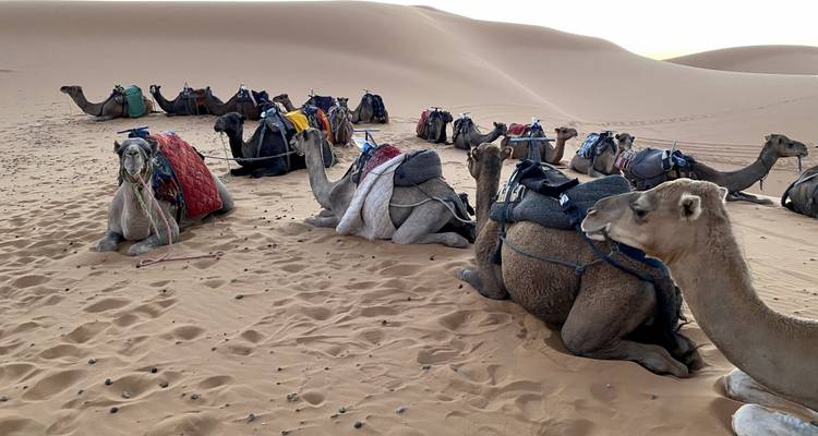 Marrakech à Merzouga 3 jours à dos de chameau - Desertbrise Travel 6