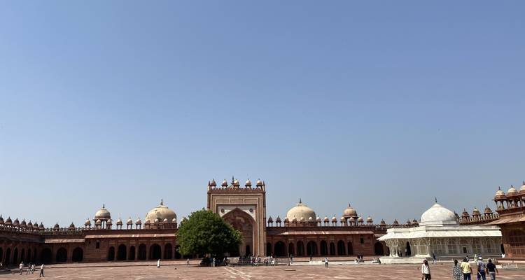 Au départ de Delhi : Circuit privé de luxe de 4 jours dans le Triangle d'Or - Travel Creators Of India 6