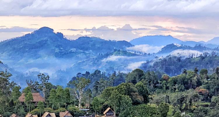 Découvrez l'essence du Sri Lanka : Nature, culture et aventure animalière - Mango Vacations 6