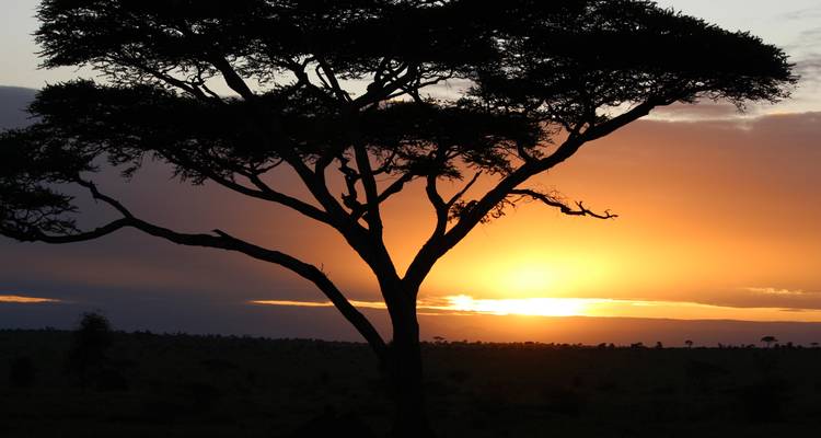 Safari Clásico de los Cinco Grandes en Tanzania **Viaje con Enfoque Sostenible - World Adventure Tours 1