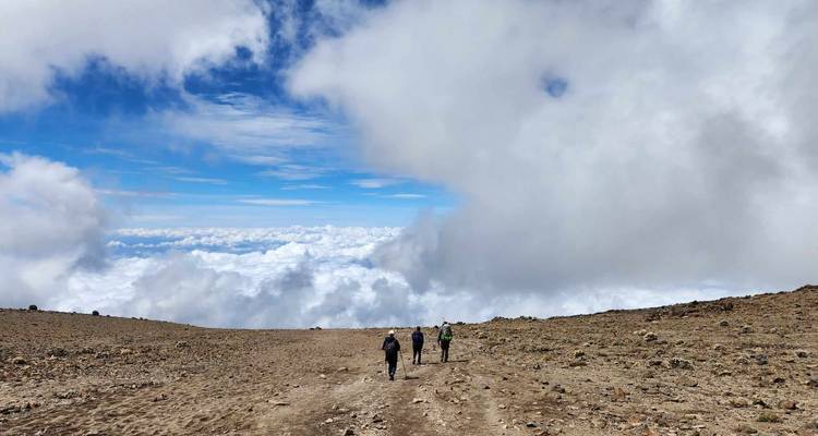 Kilimanjaro  Lemosho Route 10 Days * - Zara Tours (Zara Tanzania Adventures) 4