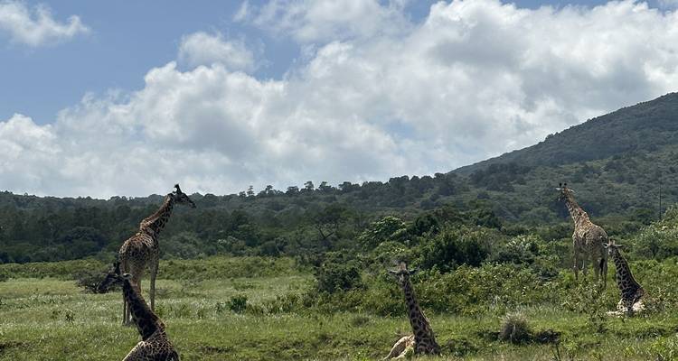 Safari culturel en Tanzanie - Zara Tours (Zara Tanzania Adventures) 1