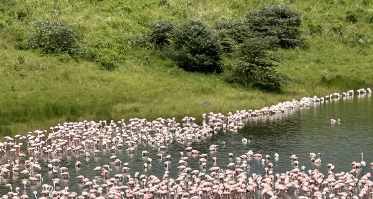 Safari culturel en Tanzanie - Zara Tours (Zara Tanzania Adventures) 3