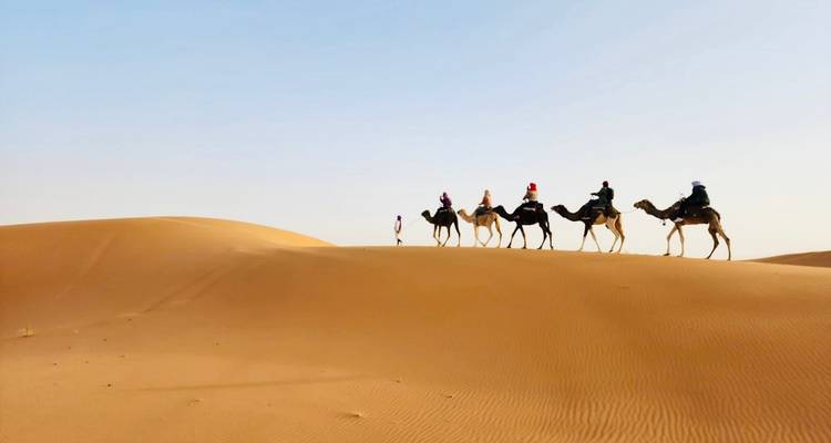 Caravane de chameaux traversant le désert sur les dunes de sable.