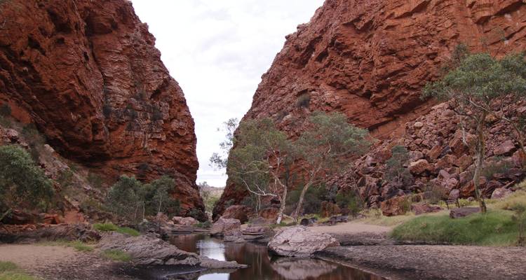 autopia tours alice springs