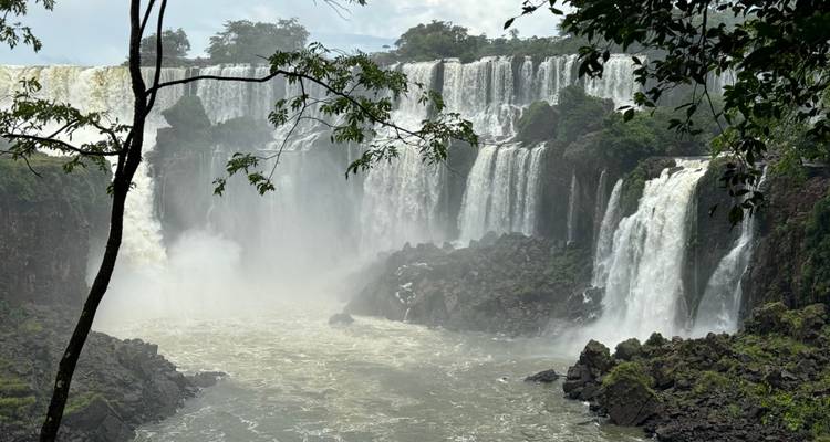 Waterfalls surrounded by lush forest