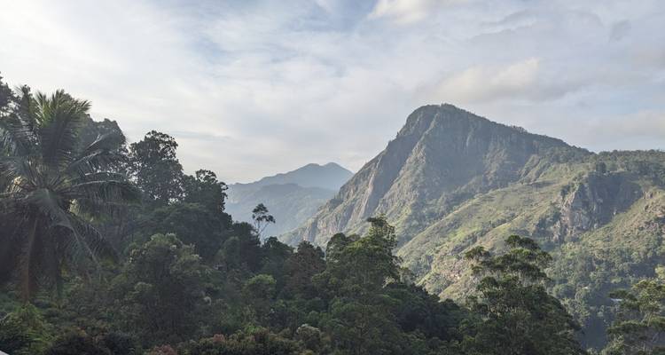 Chaîne de montagnes avec une végétation luxuriante au premier plan.