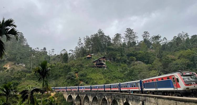 Vue pittoresque d'un train traversant un pont de pierre entouré d'une végétation luxuriante.