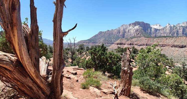 Circuit de 3 jours au Grand Canyon et plus - Bindlestiff Tours 6