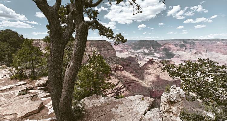 Circuit de 3 jours au Grand Canyon et plus - Bindlestiff Tours 3