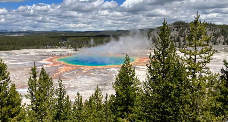 Piscine géothermale vibrante entourée de forêts.