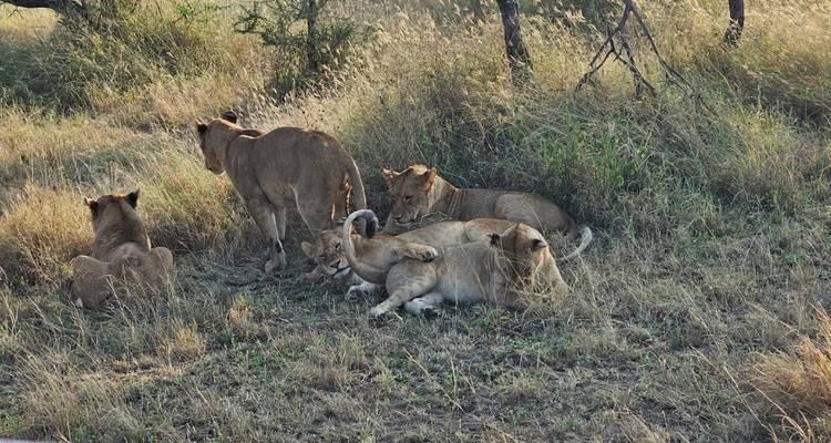 Le meilleur de la Tanzanie - 9 jours de safari de luxe - Zara Tours (Zara Tanzania Adventures) 2