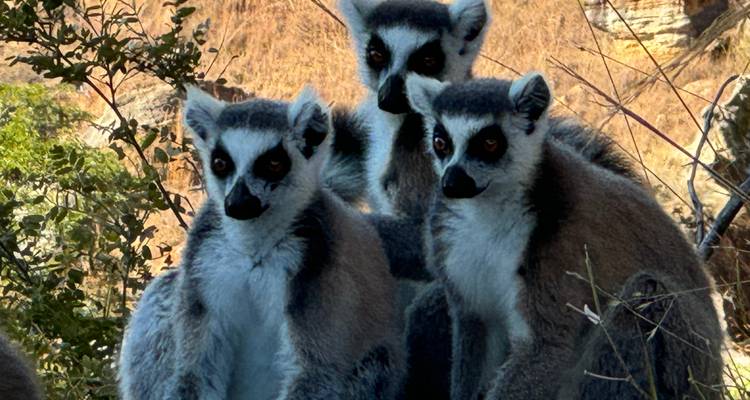 12 days Madagascar Discovering tour package - HT Agency Tours 2