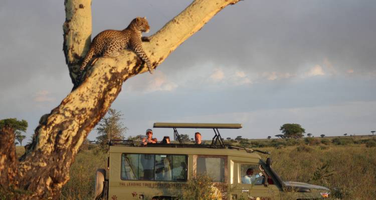 Safari Privado de 4 Días por Tanzania -  Travel Africa Safari Agency 1
