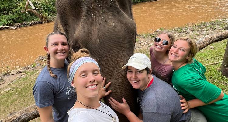 Tribus des collines du nord de la Thaïlande : Conservation de l'environnement, éducation et Treks à dos d'éléphant - GIVE Volunteers 3