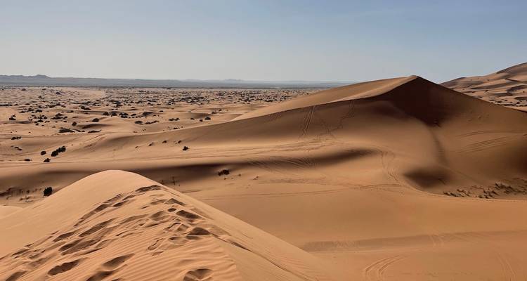 Vast desert landscape with rolling sand dunes.
